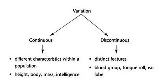 Are you suffering from Continuous Partial Attention. Here's how to