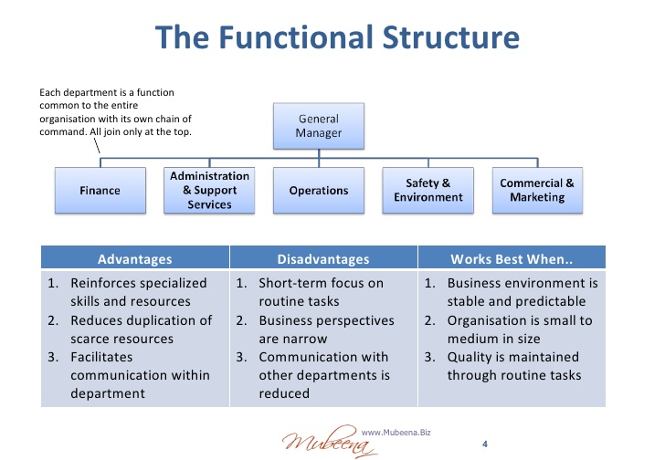 Functional family definition