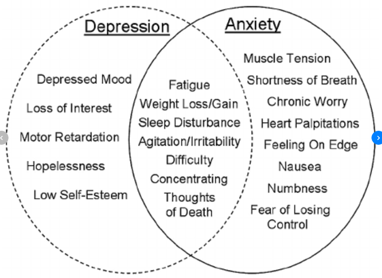 Getting to the root of anxiety