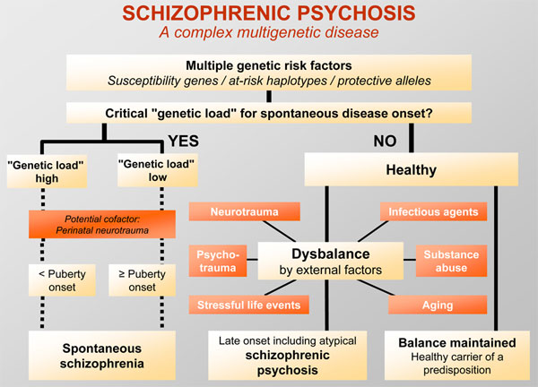 Schizophrenic super slowed. Schizophrenia Pathophysiology. Late Schizophrenia. Psychosis терминоэлементы.