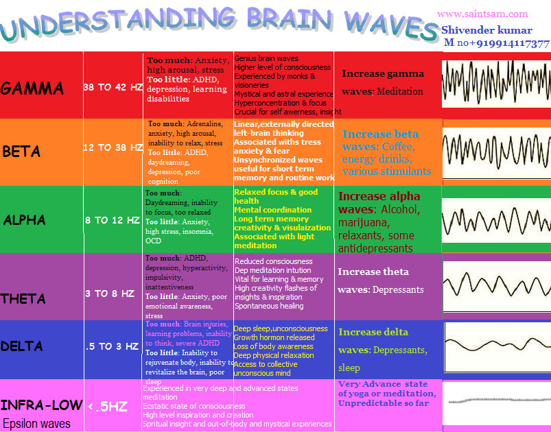 Частоты головного мозга