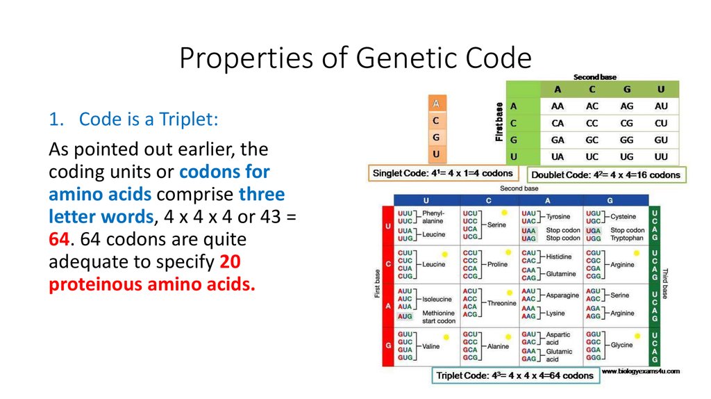 Coding properties. Genetic code properties. The main properties of genetic code. Генетический код гифка. The genetic code Скриптонит.