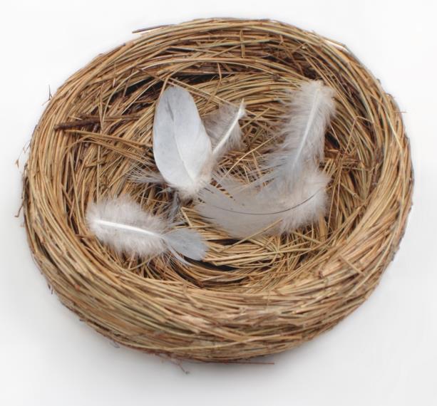 How to deal with empty nest syndrome