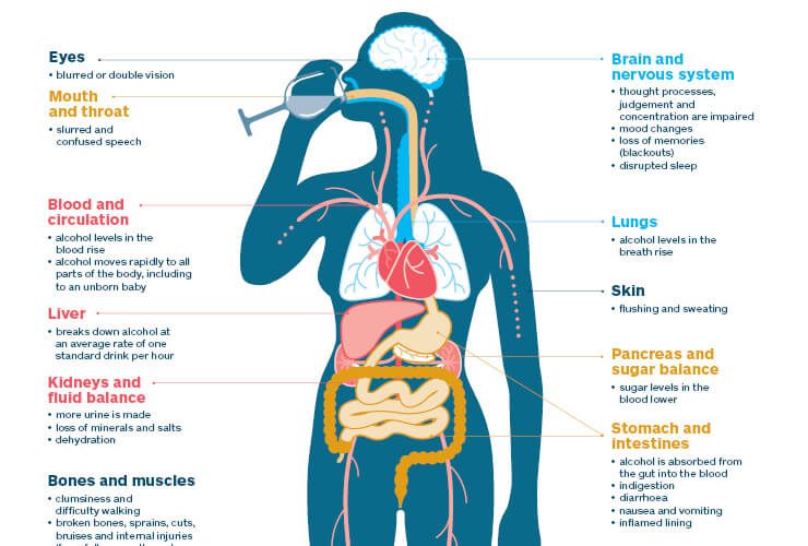 Effects of Alcohol on Each Part of the Body