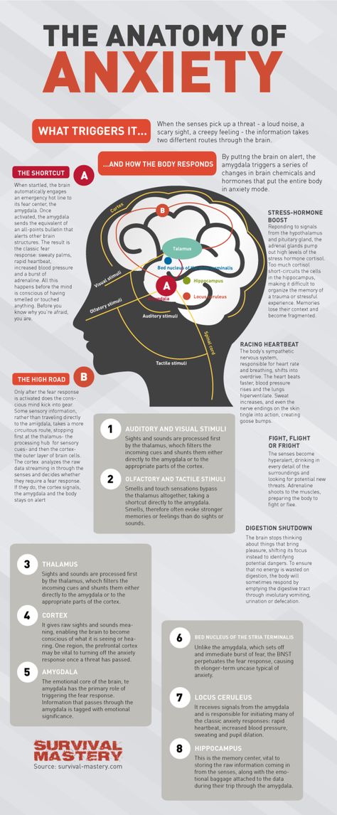 High blood pressure stress anxiety