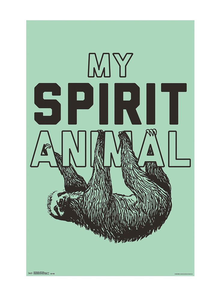 How to tell your spirit animal