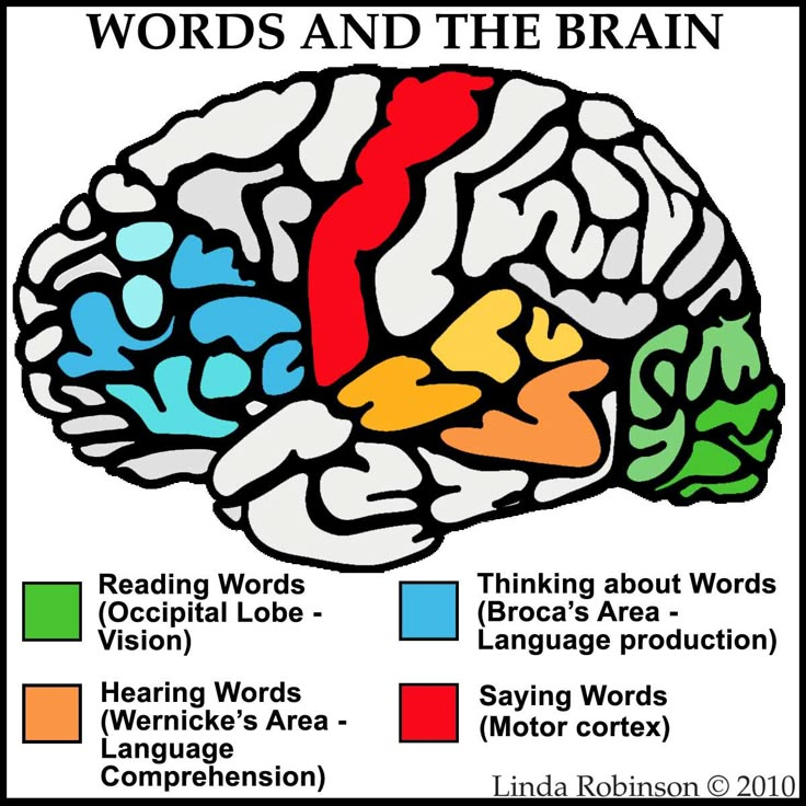 How cheating affects the brain