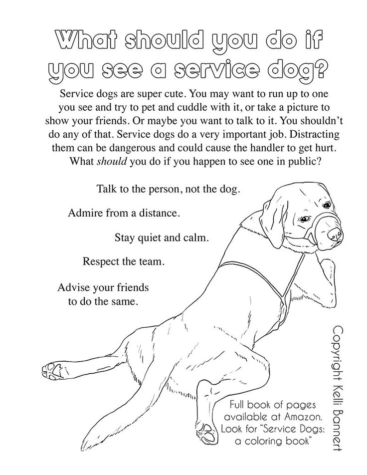 Service dog deep pressure therapy