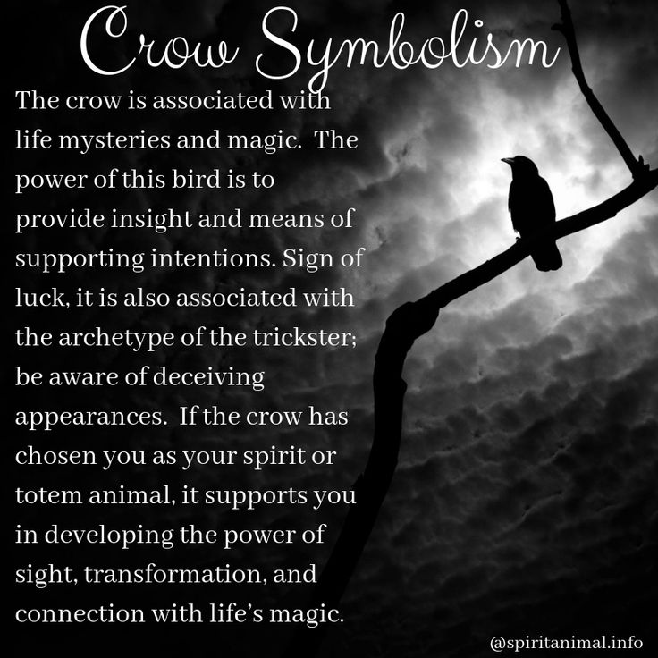 Spirit animals and meanings