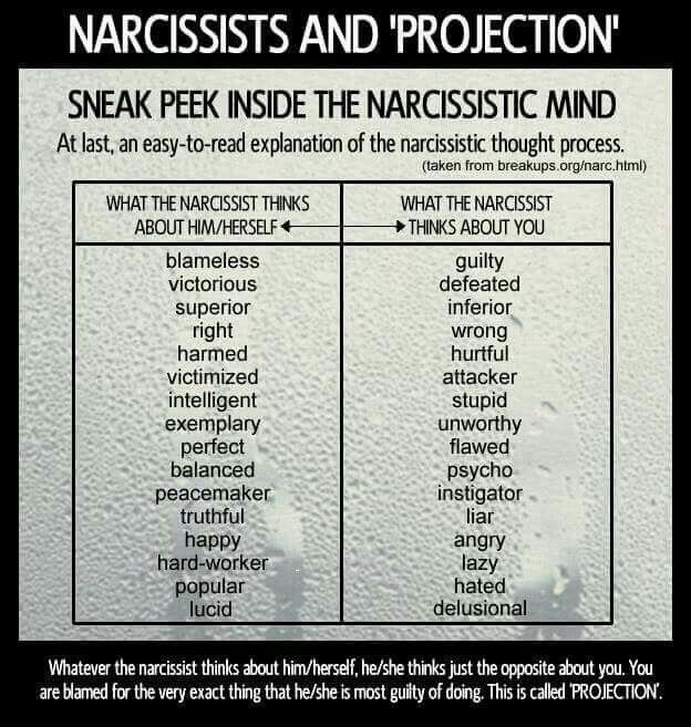 Narcissist blame shifting