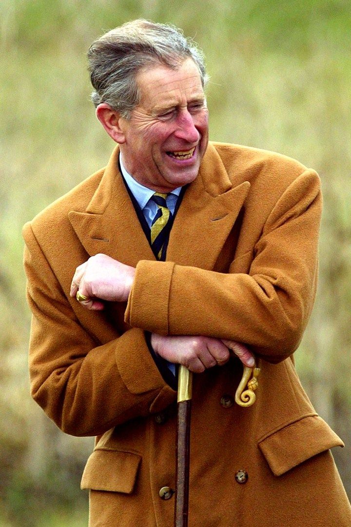 Prince charles personality type