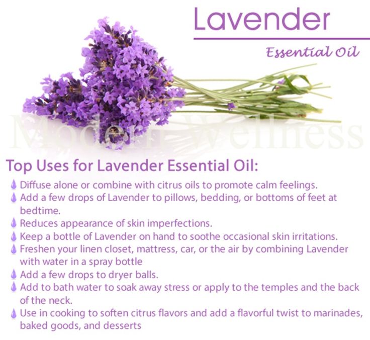 Lavender: Origin, Benefits, and Uses