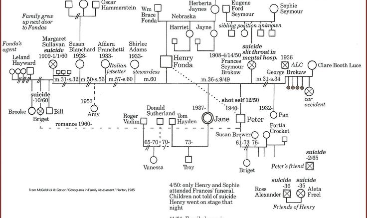 Genogram instructions pdf