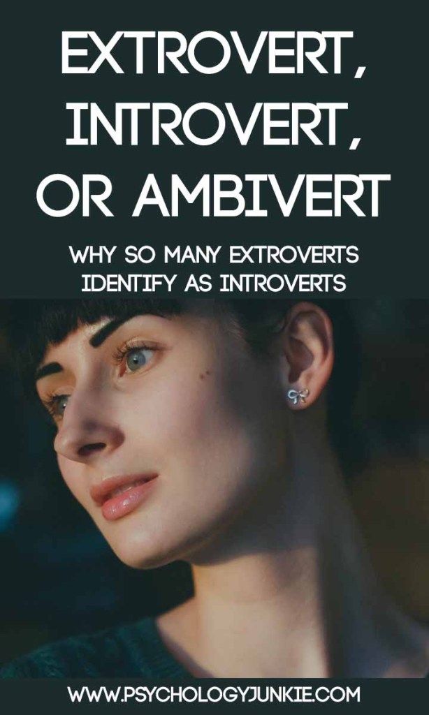 Introvert extrovert and ambivert test