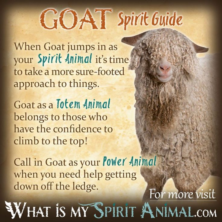 Spirit animals and meanings