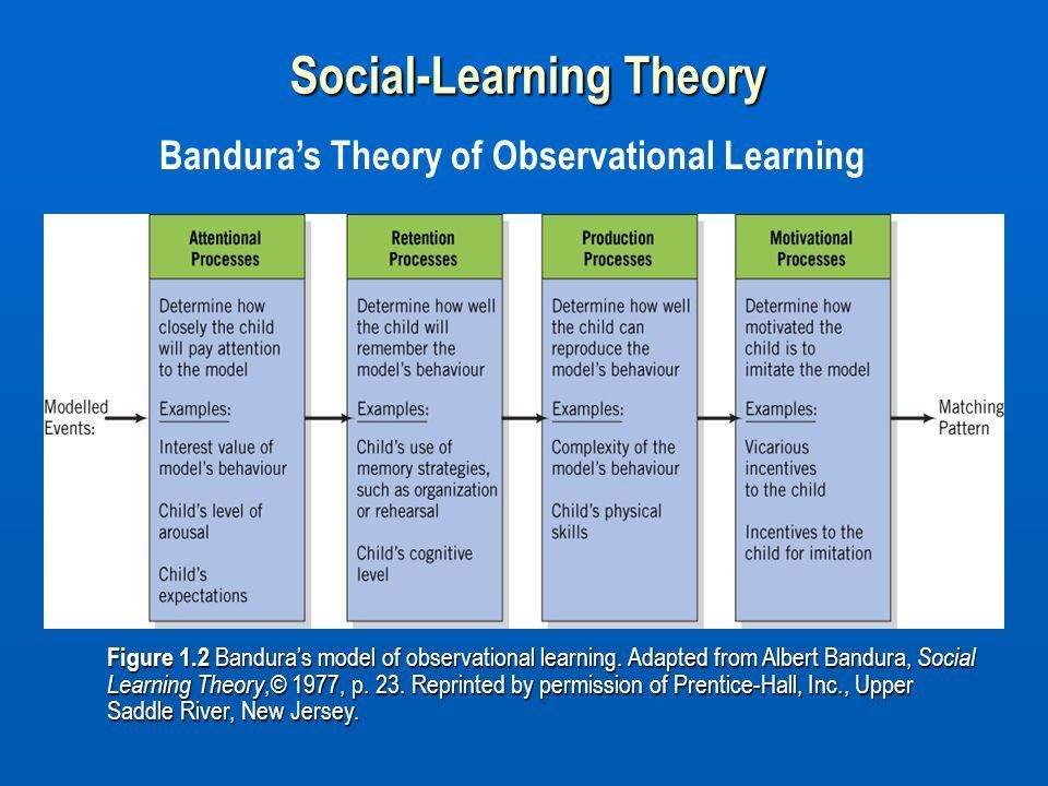 Model behaviour. Social cognitive Theory Bandura. Social cognitive Theory Bandura модель. Bandura social Learning. Bandura's social Learning Theory.