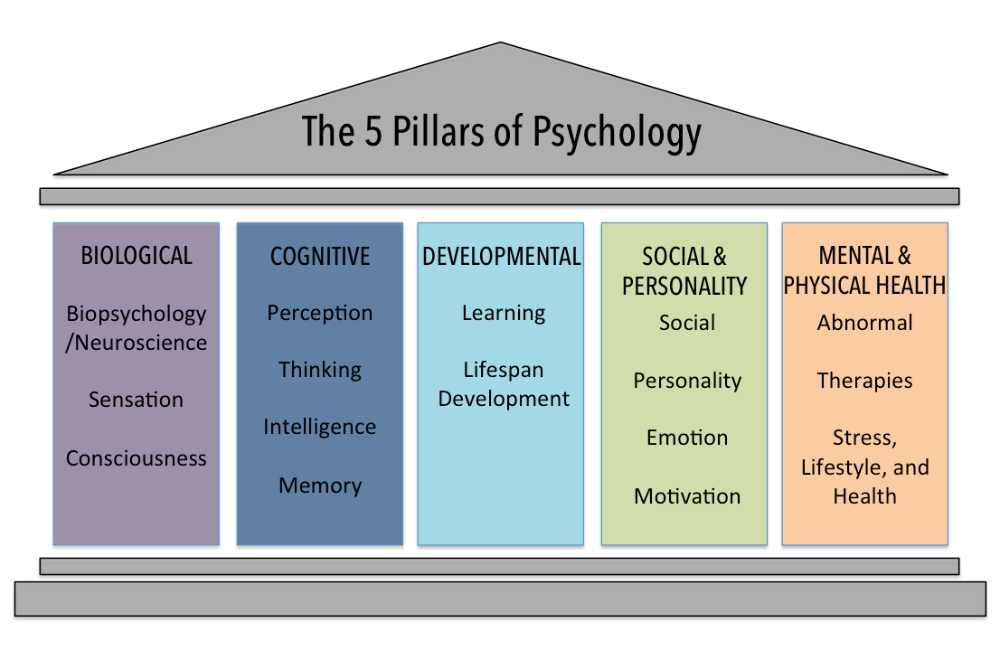 Types of personality in consumer behaviour