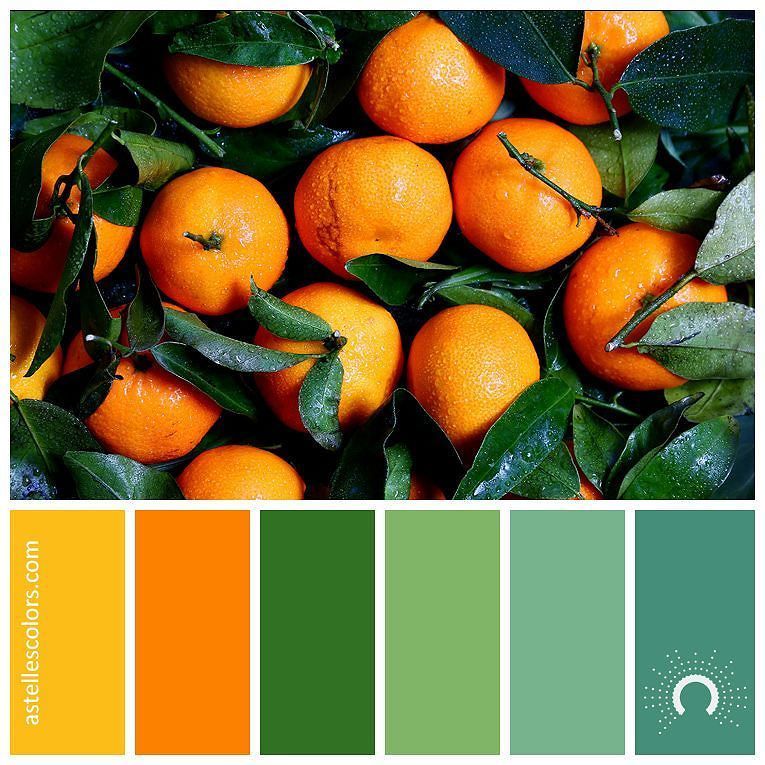 Color personality types blue green orange gold