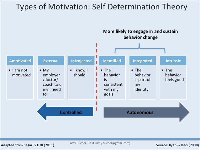 Self determination theory autonomy