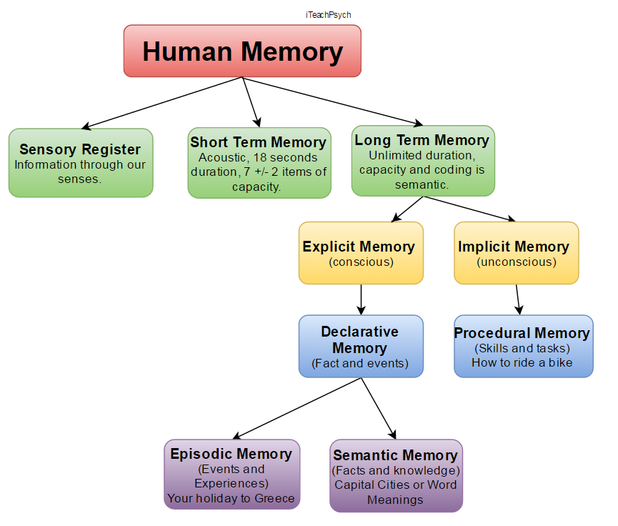 Human types. Human Memory. Types of Memory. Main Types of Human Memory. Memory in Psychology.