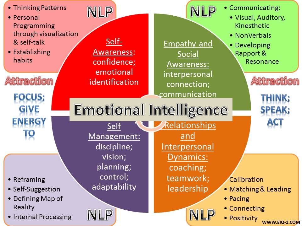 The program thinks. НЛП инфографика. Эмоциональный интеллект коучинг. Инструменты NLP. НЛП coach.