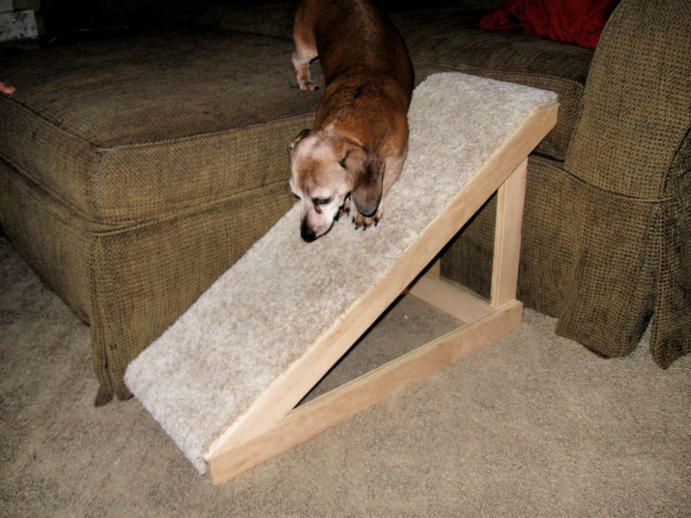 Pet steps for small dogs