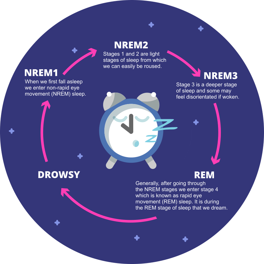 What are the five stages of sleep