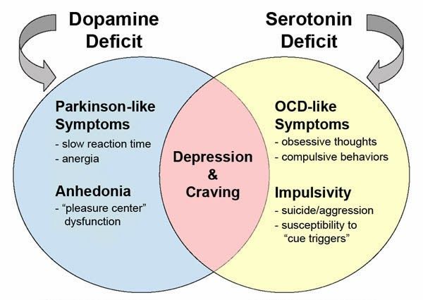 Treatment centers for ocd