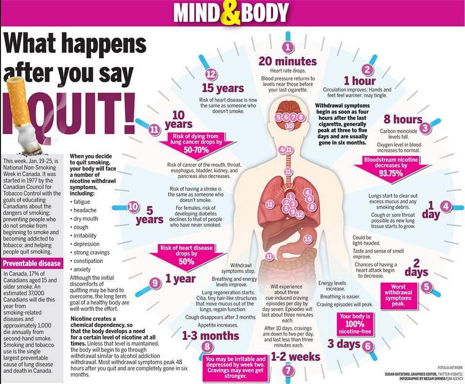 The body has. What happens when you stop smoking. When you quit smoking. Quit smoking infographic. What happens when....