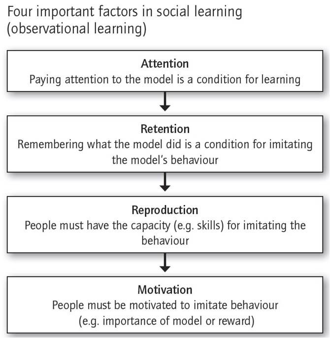 Cognitive factors in 2024 social learning theory