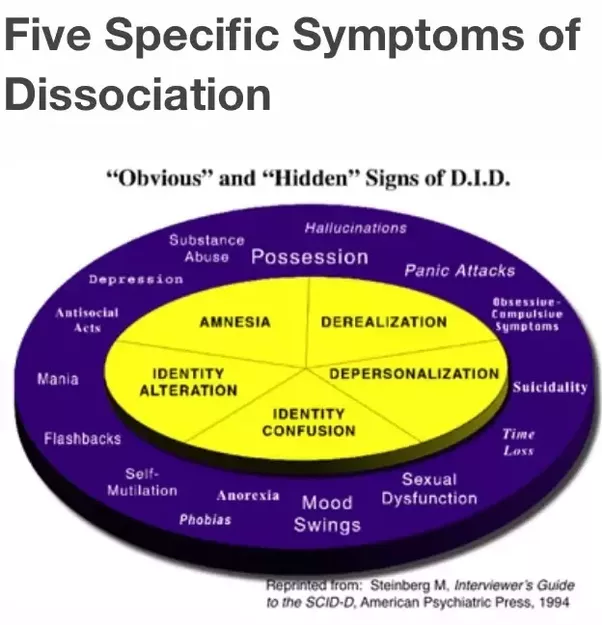 Dissociative identity disorder types