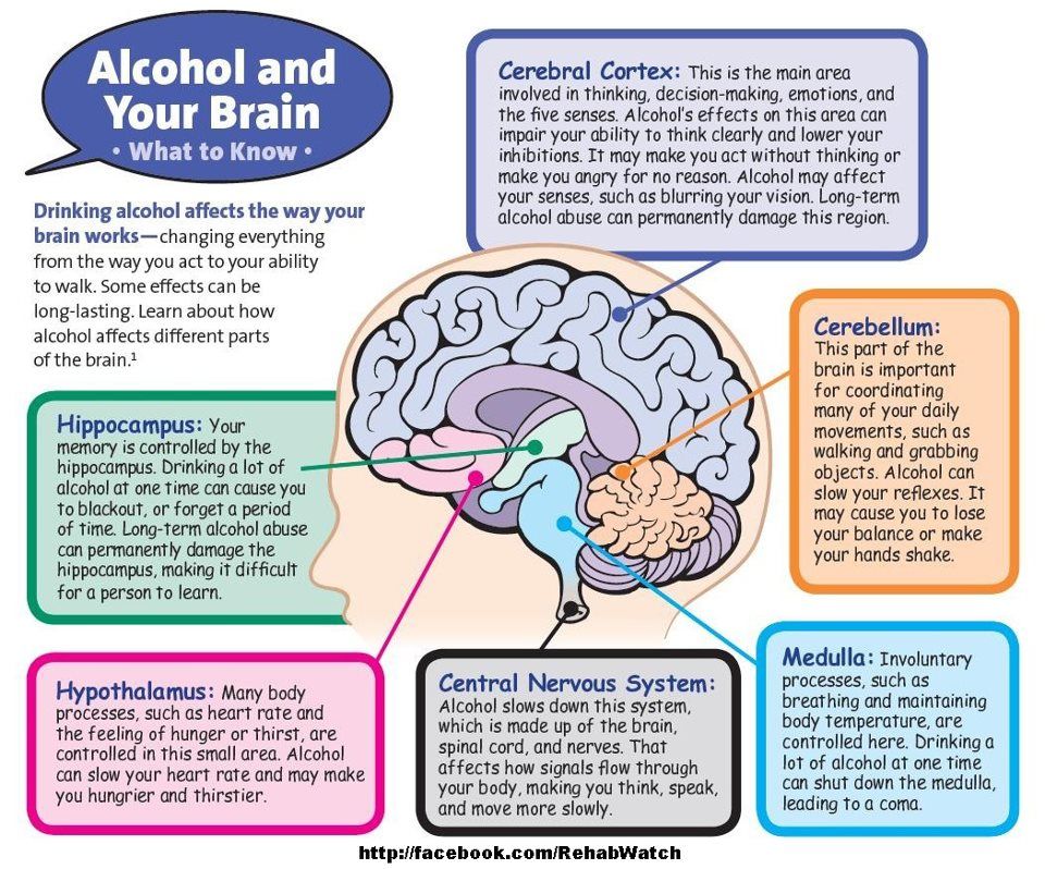 Brain effect. Parts of the Brain. Картинки на тему: what makes me nervous?.