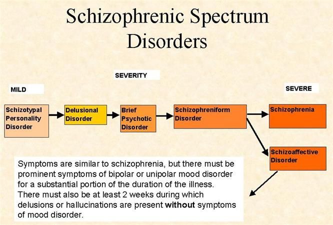 Hallucinations vs delusions examples