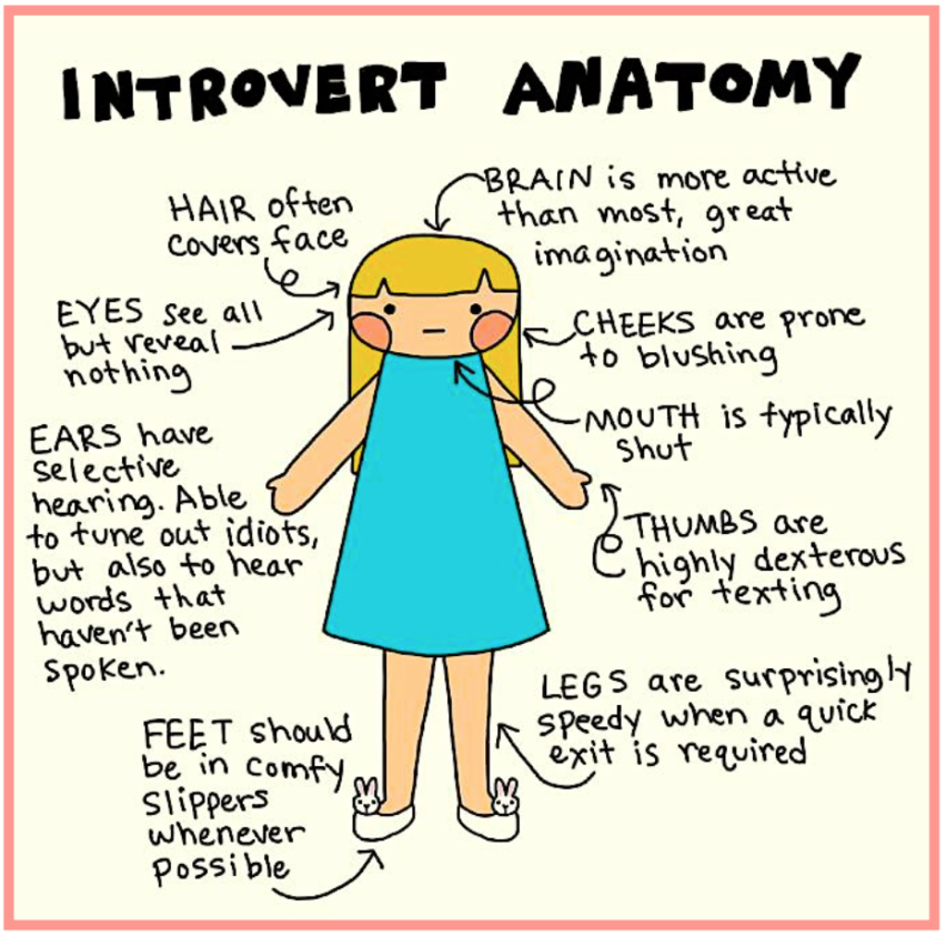 Signs of an extroverted introvert