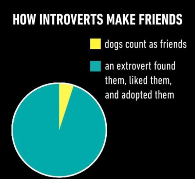 Icebreakers for introverts