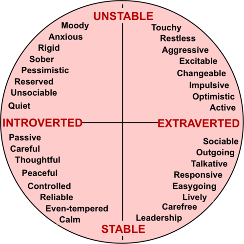 Introvert vs extrovert ted talk