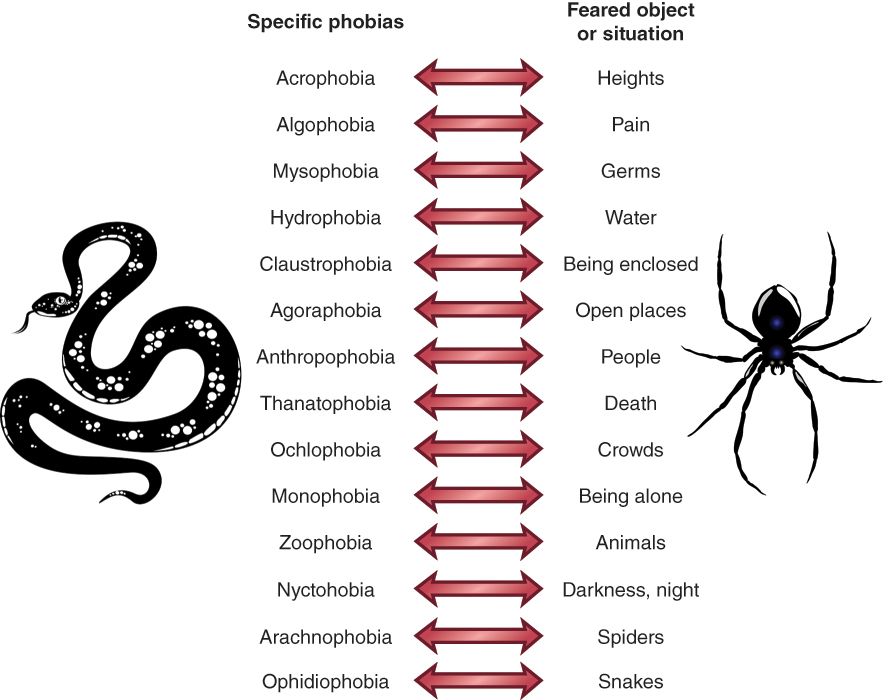 Information on phobias