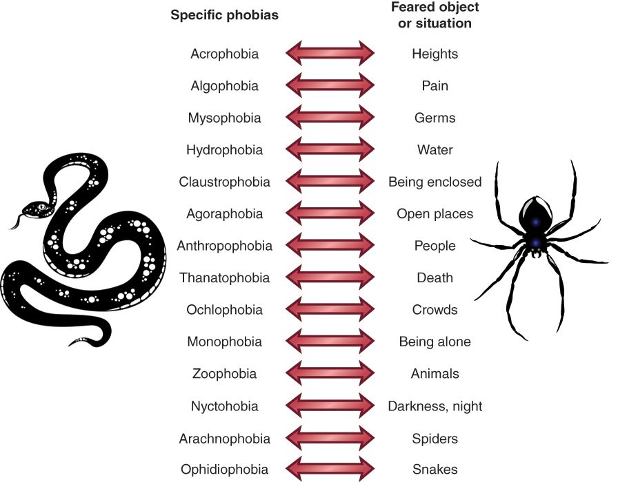 Kinds of phobias. List of Phobias. Types of фобии. Phobias English.