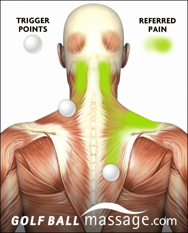 Neck muscles release