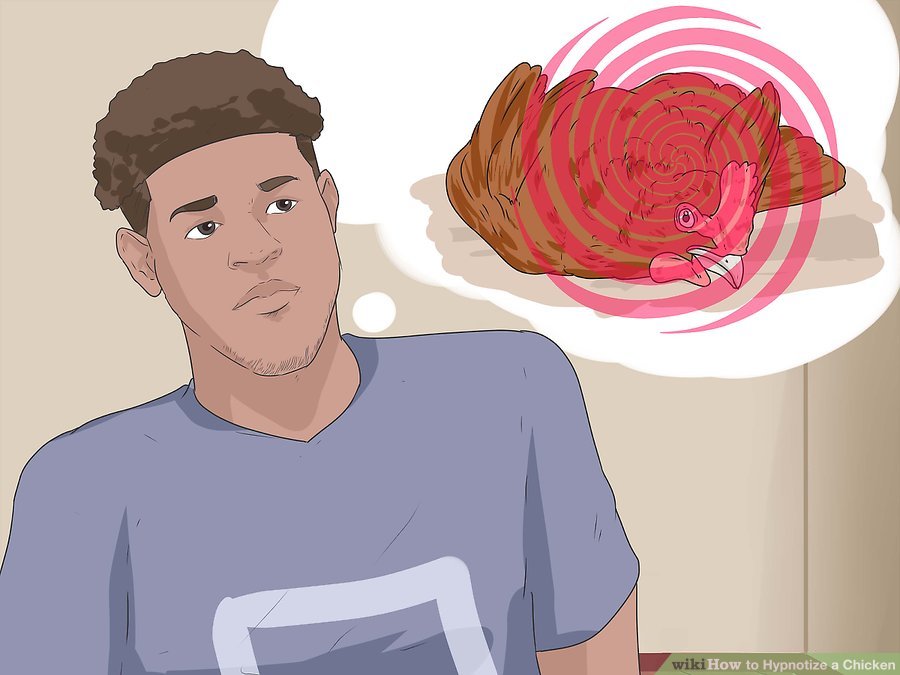 Вики хау. WIKIHOW Мем. Викихау мемы. Мемы Вики хау. WIKIHOW картинки.