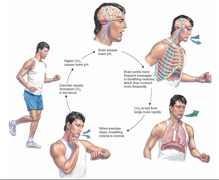 Breathing exercise for migraine