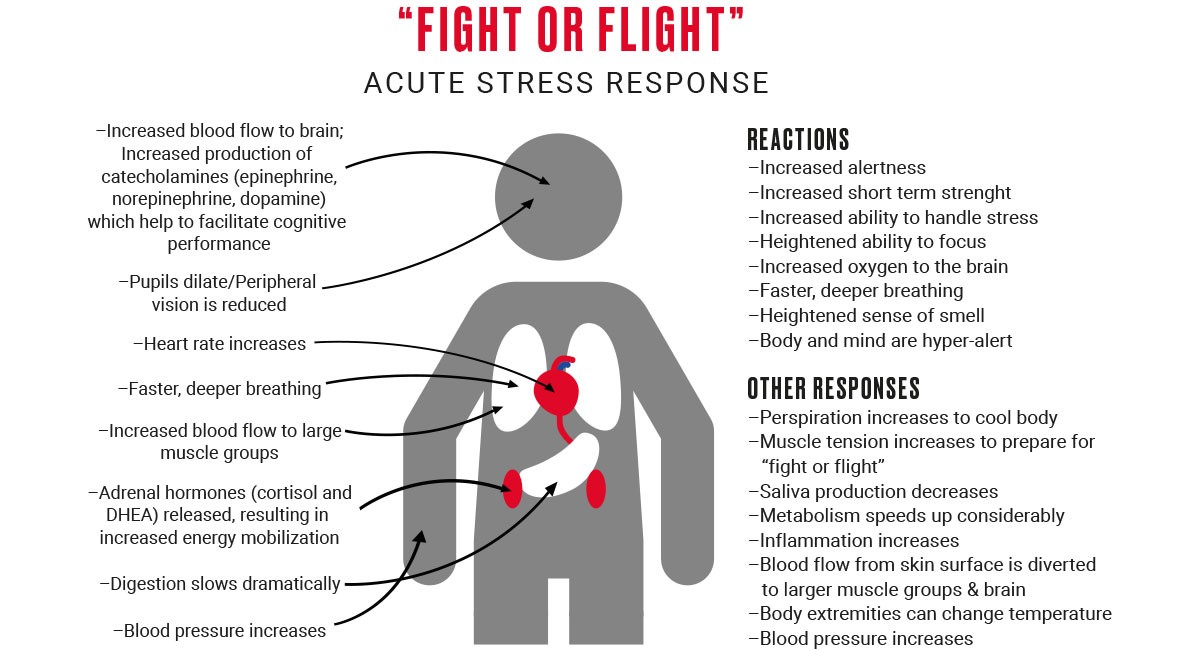 Anxiety effect on blood pressure