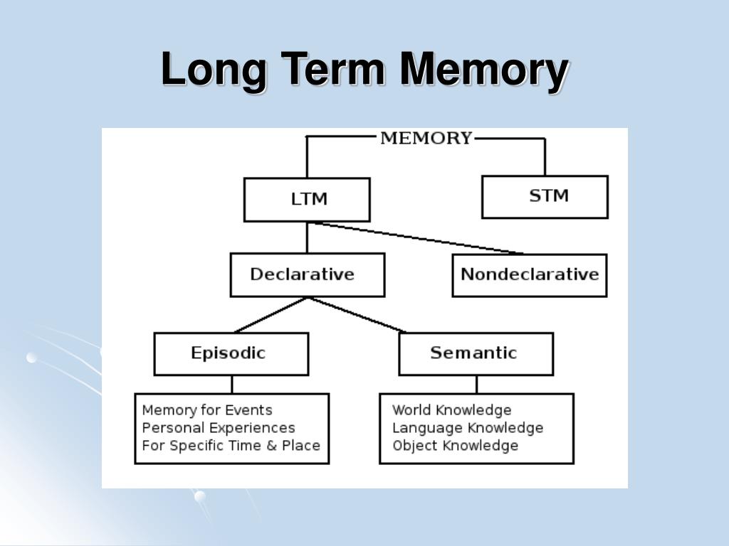 Improve long term memory