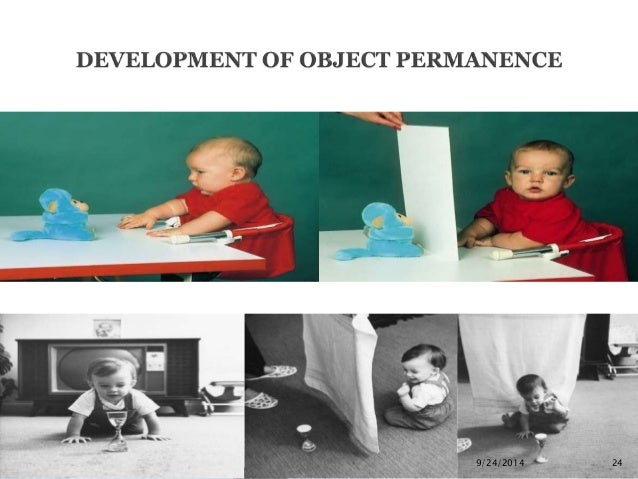 Piaget object permanence online experiment