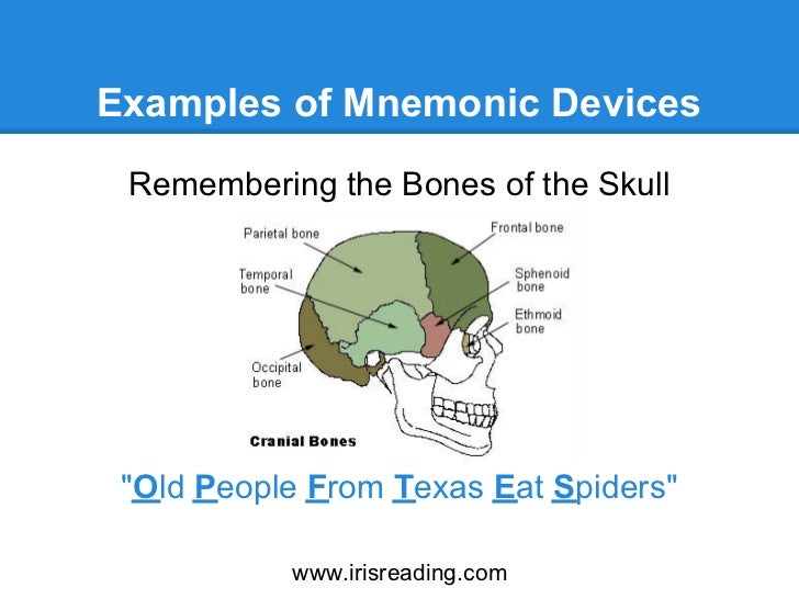 Mnemonic Devices: Types, Examples, and Benefits