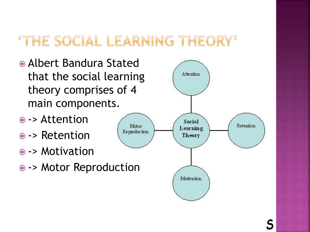 The social learning online model