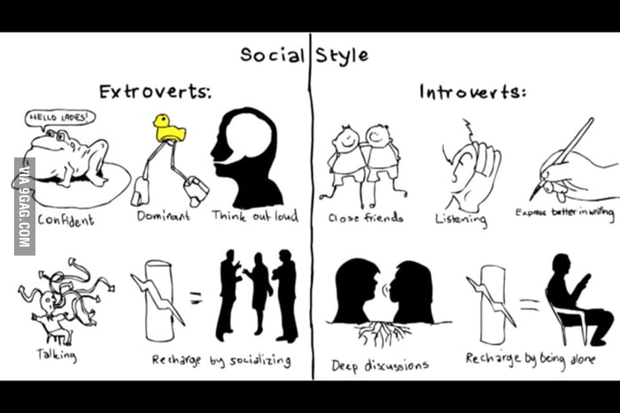 What is the middle of introvert and extrovert