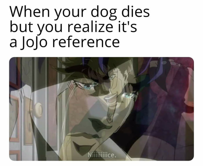 Can dogs die from sadness