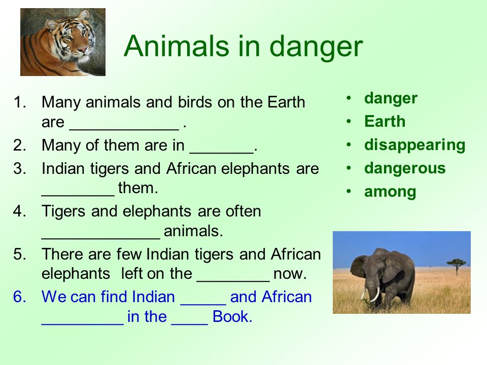 Disappearing animals. Animals презентация. Урок по теме животные английский язык. Упражнения по английскому по теме animals. Английский язык 4 класс тема животные.