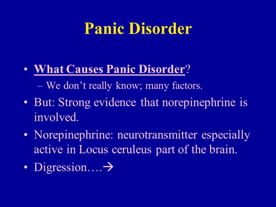  Does Panic Disorder Go Away 